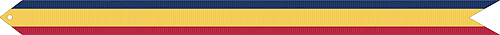 Presidential Unit Citation Sreamer Image
